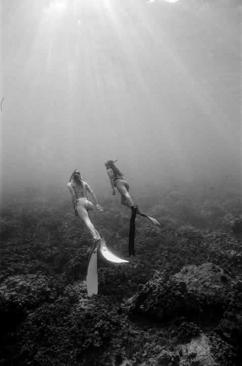 Nothing beats the morning light ✨ Nikonos v + tmax100
