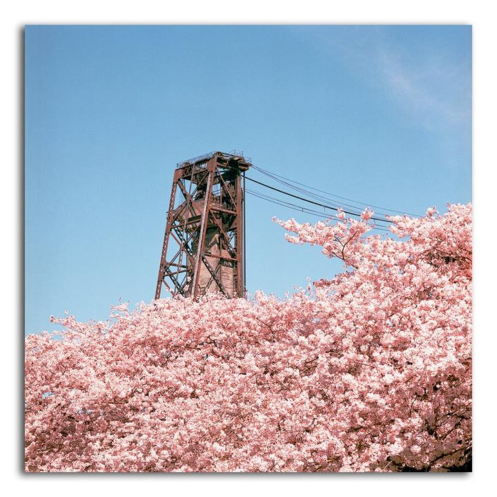 Aerocolor is officially an S-Tier for me [Reflx Lab Pro 100 / Kodak Aerocolor | Hasselblad 500CM | Various Lenses]