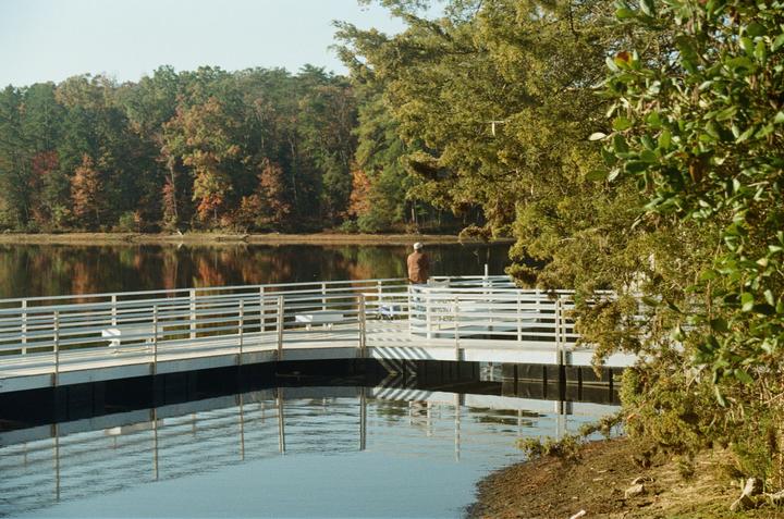 My first time shooting on film! Would love any helpful and kind critiques or advice. [Canon EOS 750, 35-80mm lens, Kodak Gold 200].