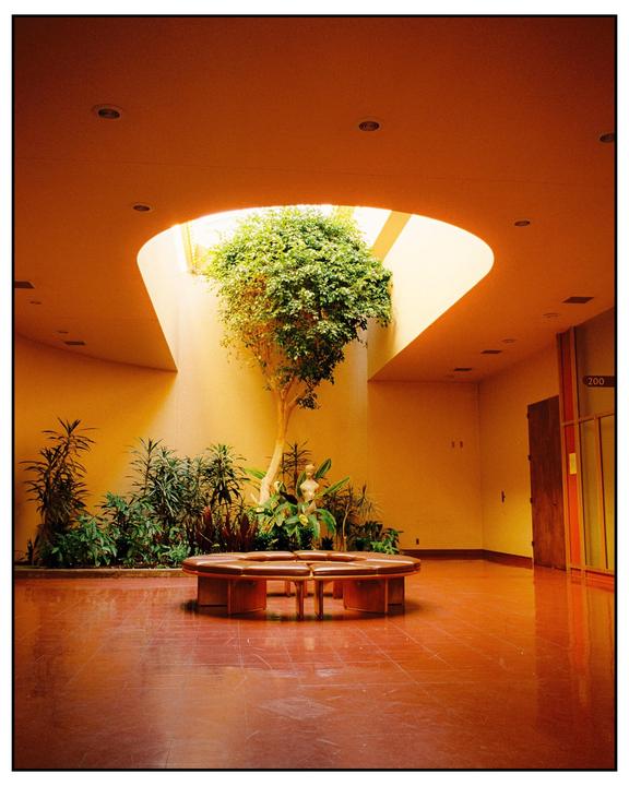 California, 2024 | Leica M6 & Portra 400