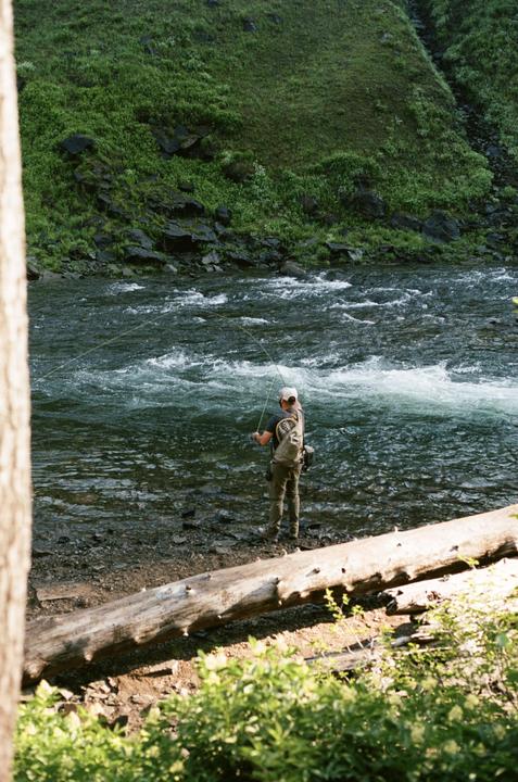 A man fly fishing in a river with a lush green hillside in the background.