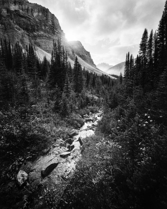 Antithesis / Banff NP / Chamonix 45f2 / Fomapan 400