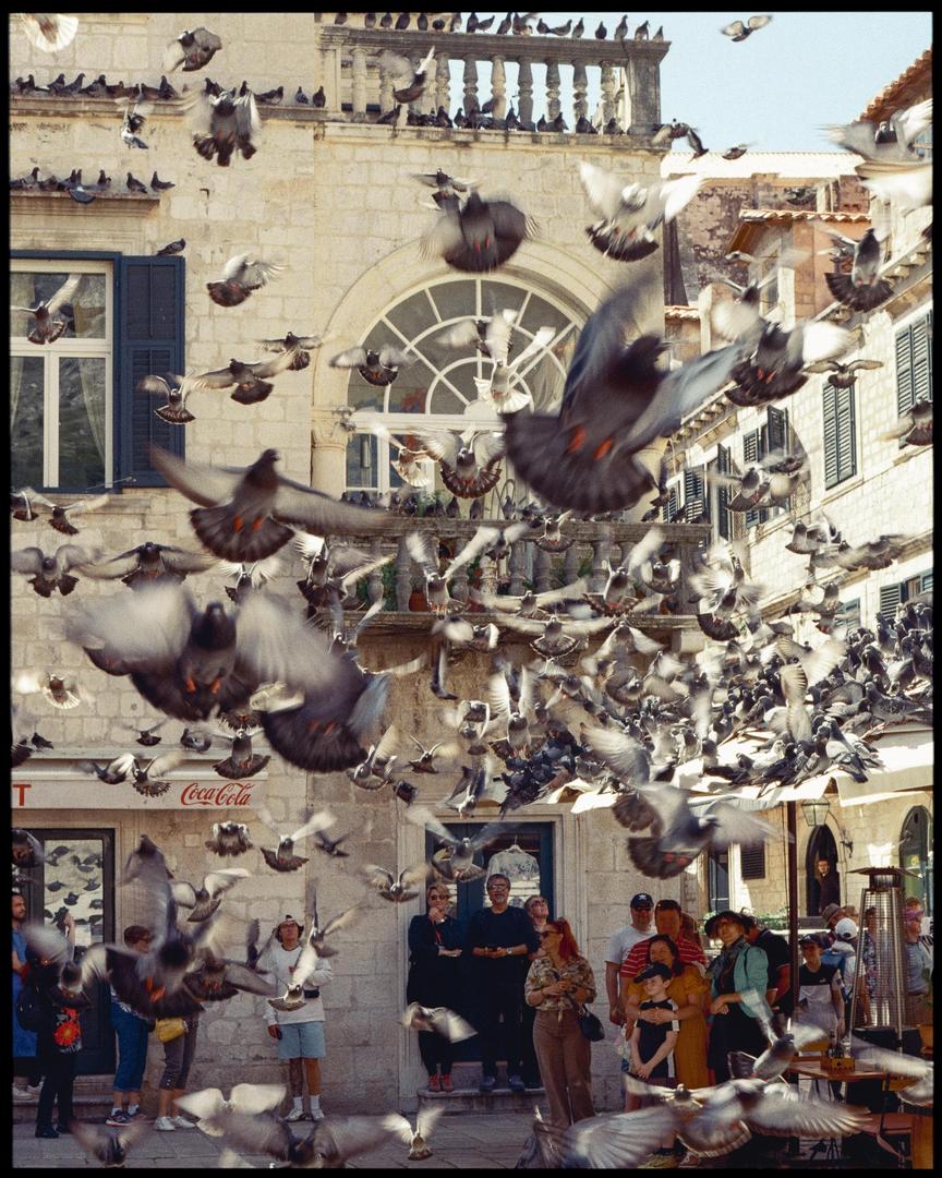 dubrovnik on 35mm [contax g1 / t2, mixed glass, colourplus], tagged child