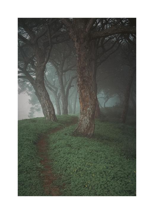 Magical paths