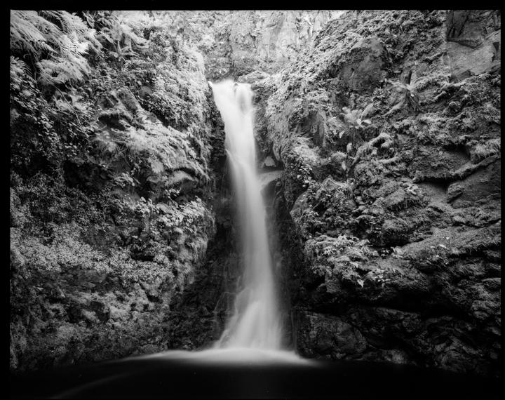 Rollei Super Pan 200 w/ r72 filter