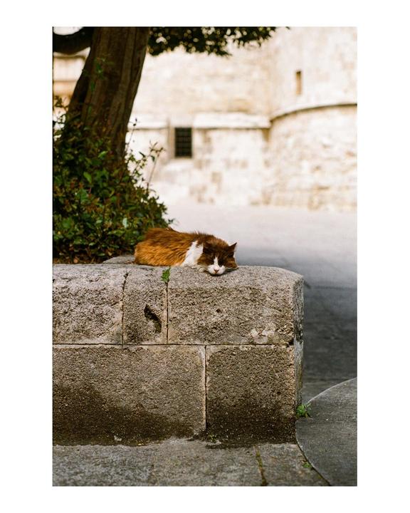Moments in Rhodes ( Kodak Gold / Super Takumar 55mm F1.8 / Pentax Spotmatic SP)