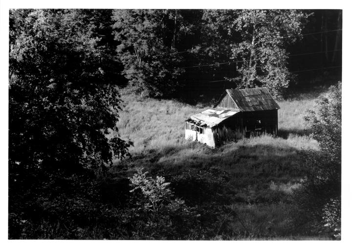 An old wooden shack with a lean-to is nestled on a grassy hillside surrounded by trees.