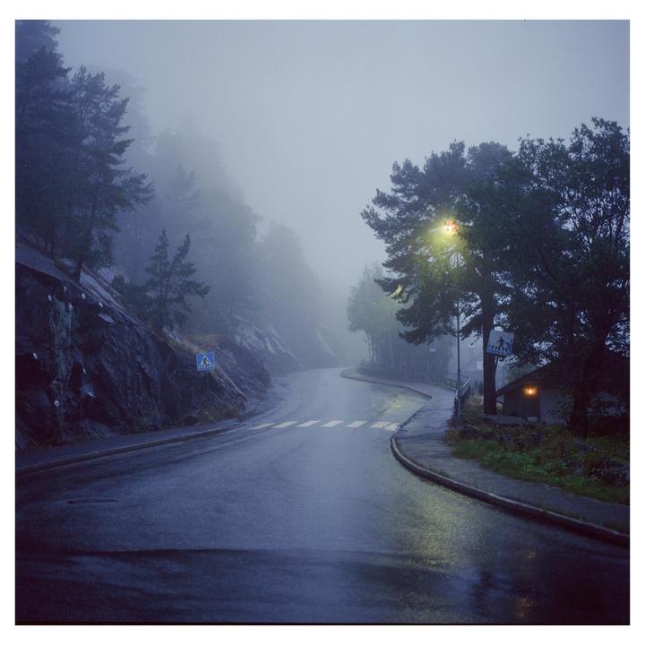Limited Visibility(Hasselblad 501cm, 800t, 80mm CB)