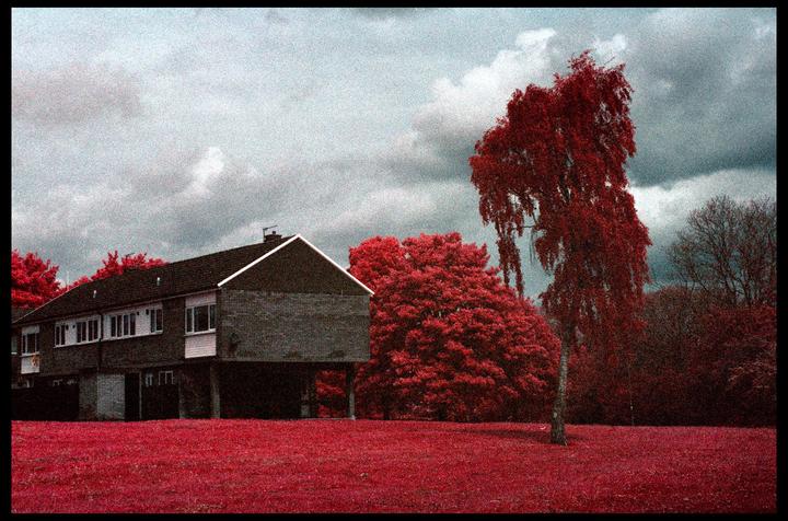 Future Dreams [Nikon F / 28mm f2.8 / Kodak Ektachrome Infrared / Exp 1997]