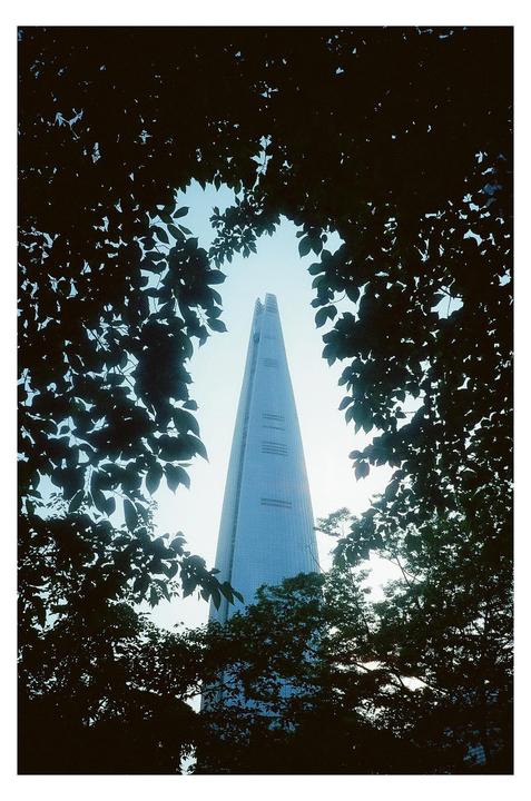A tall, modern skyscraper is framed by dark foliage against a bright sky.