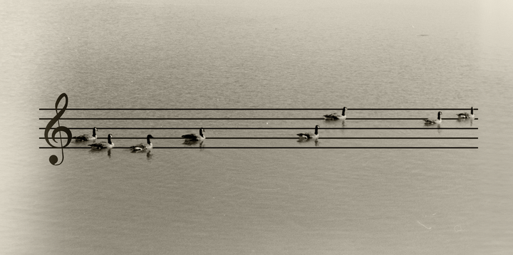 In a Row [Tri-X 400 and Digital] (Is this allowed here??)