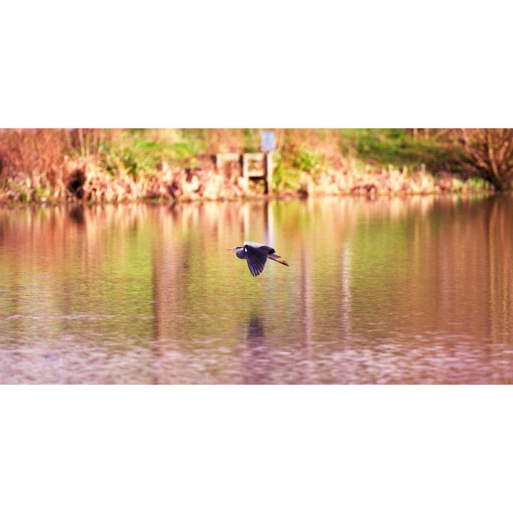 So, when I can, I like to use medium format film for wildlife.