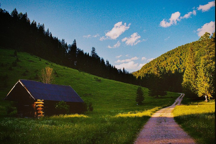 Bavarian hills, [Nikon F3, 24mm AF Nikkor f/2.8, Kodak Gold 200]