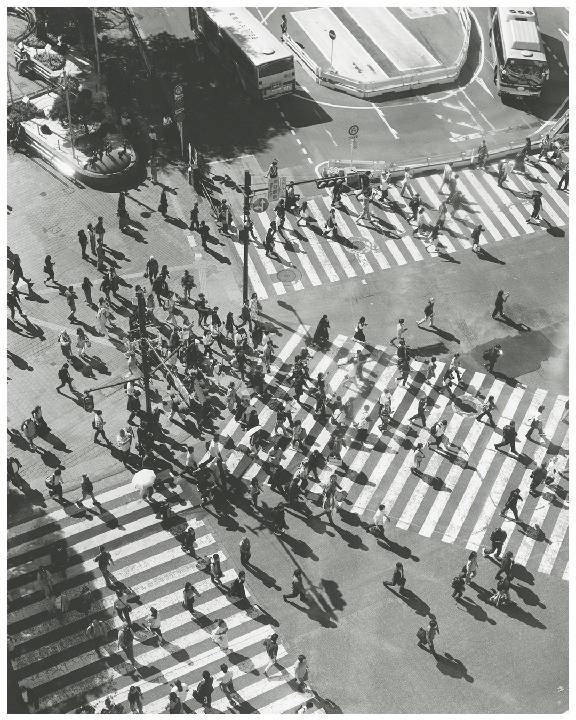 Tokyo, Japan | Pentax 645 + Contax G1 w/ Kodak Tri-X 400 & Ilford Delta 400.
