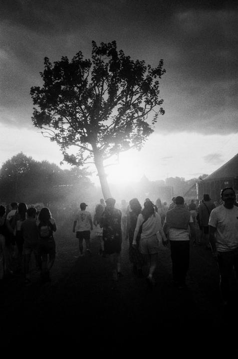 A crowd of people walks towards a bright light source behind a silhouetted tree under a cloudy sky.