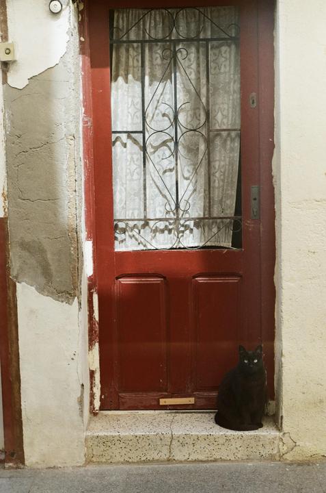 Some shots from my first roll of film ever: Zenit ET, fuji 200
