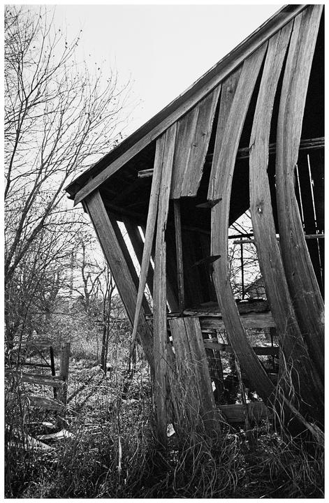 A dilapidated wooden structure with a collapsing roof and walls stands amidst overgrown vegetation and bare trees.