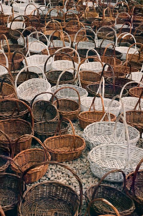 Take your pick [Portra 800+1, Nikon N75, Micro Nikkor 60mm 1:2.8D)
