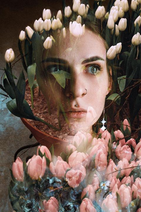 Tulip double exposures [ Zenit 122, Helios 44m-6, Kodak Ultra Max 400 ]