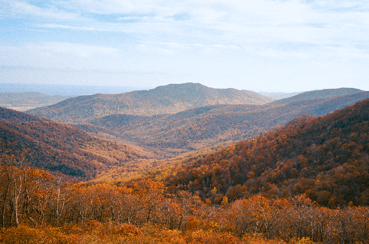 The summer heat has me missing fall | Leica M6, VM 35/50 1.5 | Ektar 100