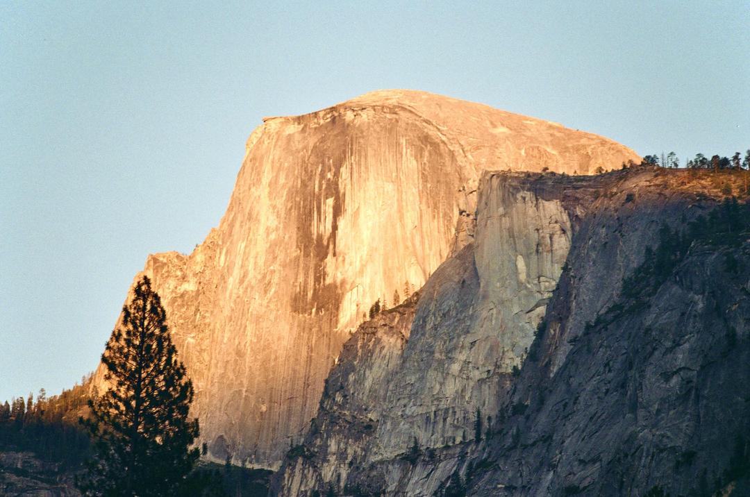 image 35795 by bennythegardner