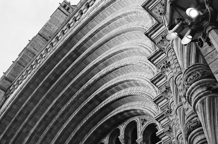 The Natural History Museum, London | Olympus Trip 35, Ilford XP2
