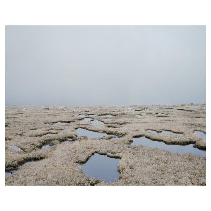 An alpine meadow with patches of water and dry grass stretches under a pale sky.
