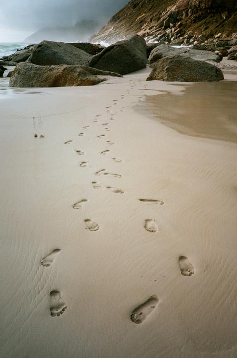 Long days on the beach feel so short now... Olympus XA, Portra 160