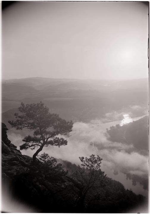 A lone tree stands on a rocky cliff overlooking a river and valley filled with fog.
