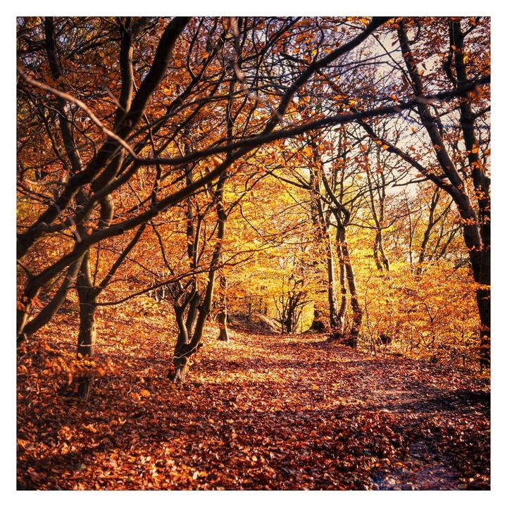 First experiments with Velvia 50 - Yorkshire Rambles