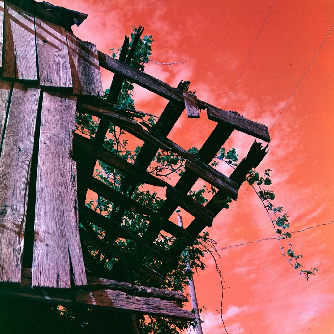 Harman Azure / Hasselblad 503cx / 80mm 2.8