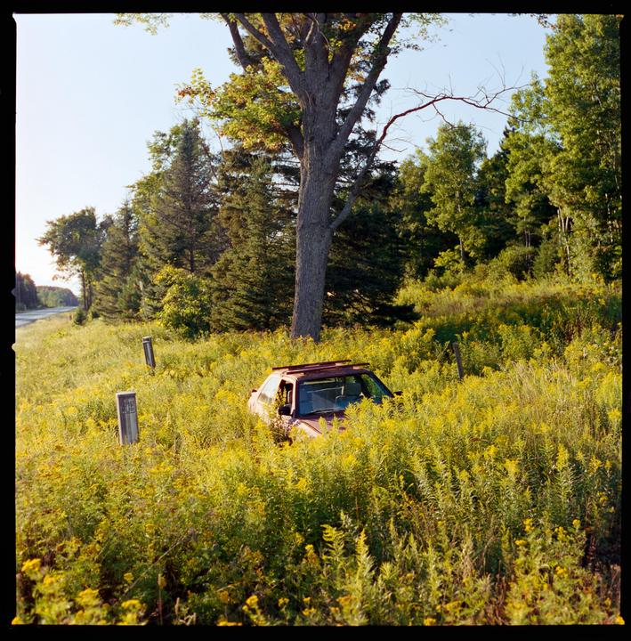 I climbed on top of my car’s roof for this one | Hasselblad 501cm & 80mm f/2.8 CF | Cinestill 400d (second photo is taken with my iPhone to compare)