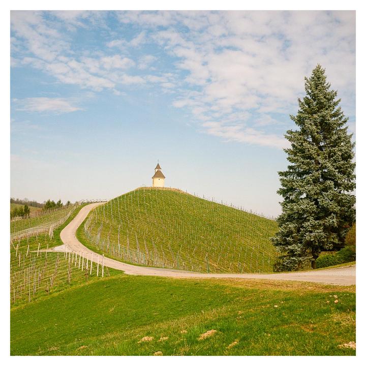Tiny Roadside Chapel [Mamiya 6 MF, Kodak Gold 200]