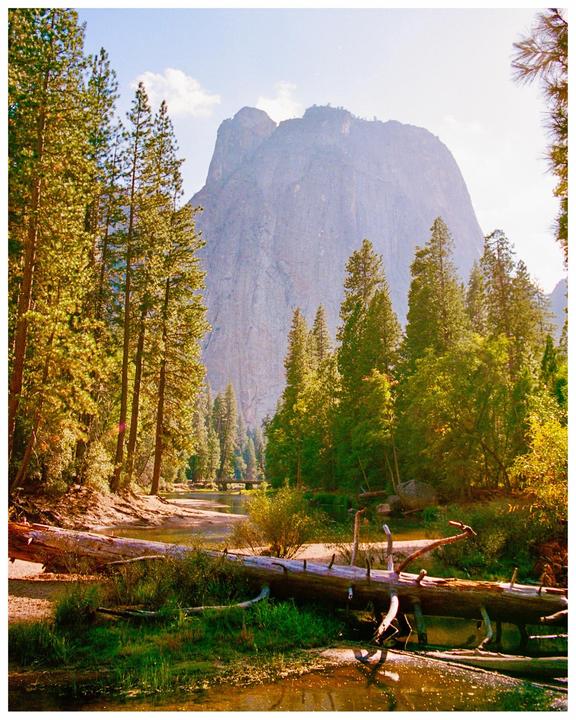A large mountain rises behind a forest and a river with a fallen tree.