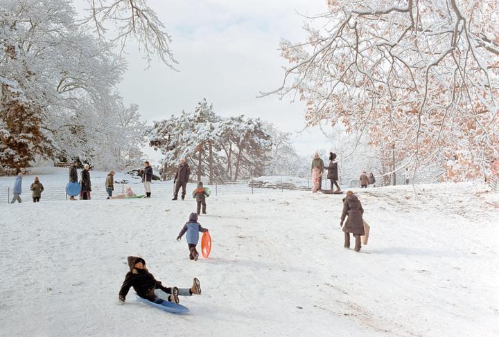 Snow day in Central Park [ Canon F1 | 50 mm f1.4 SSC | Gold 200 ]