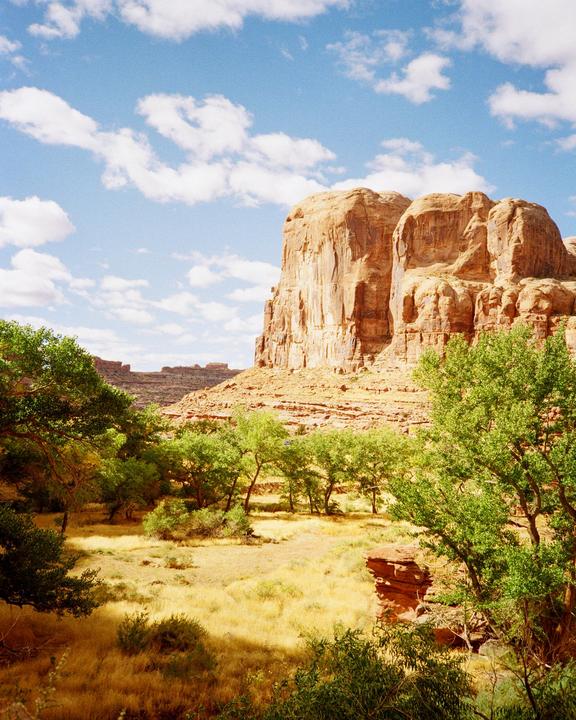 I cant shake my sick addiction to taking pictures of the desert in the midday sun. This is my greatest so far. (Olympus XA // Gold 200)