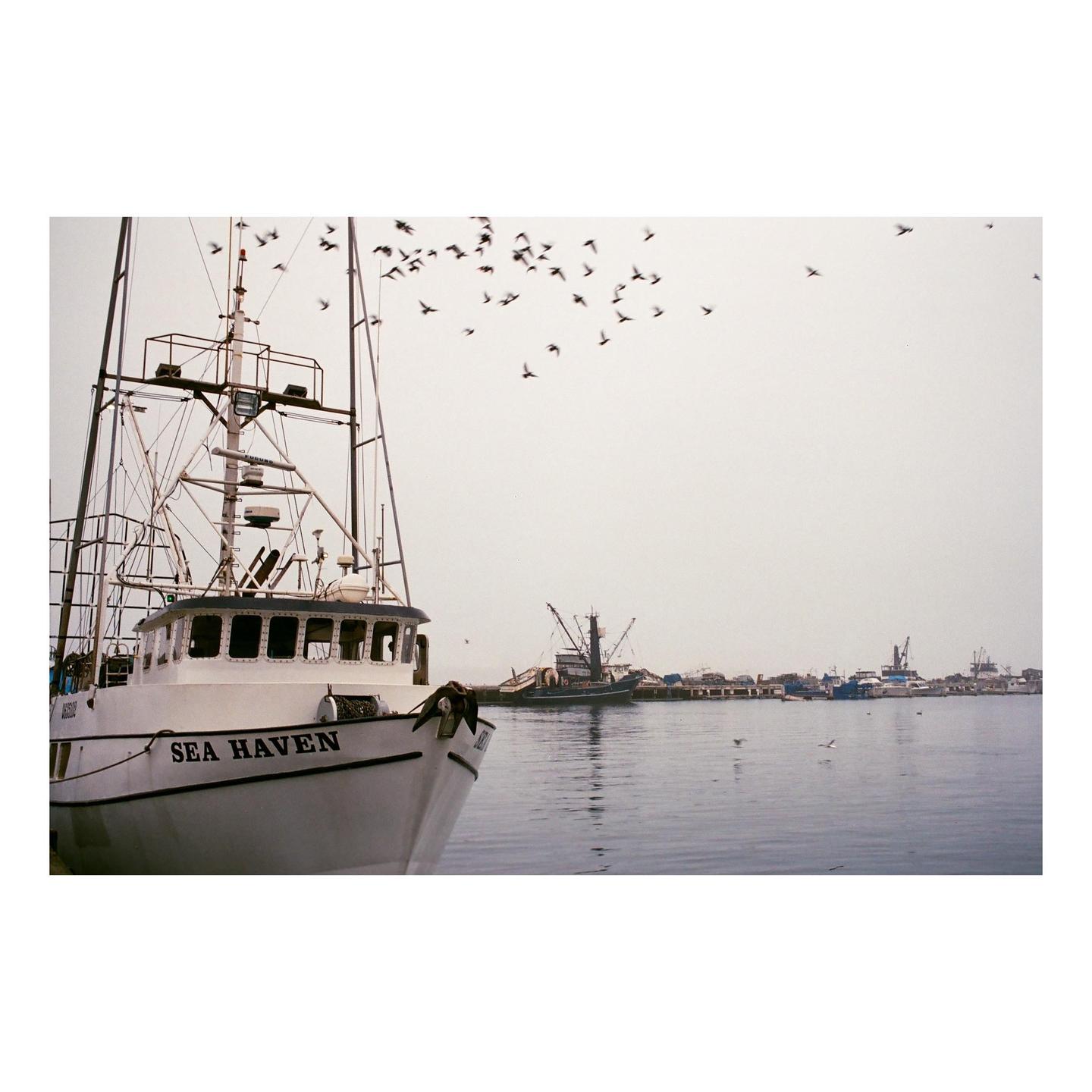 image 36199 by flagflamber