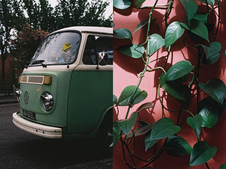 Pairings. Olympus OM-10. 50mm F/1.8 Zuiko. Kodak Gold 200.