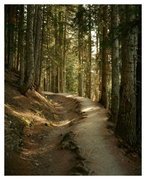 October Hike (Pentax 67 / 105mm&55mm / Ektar)