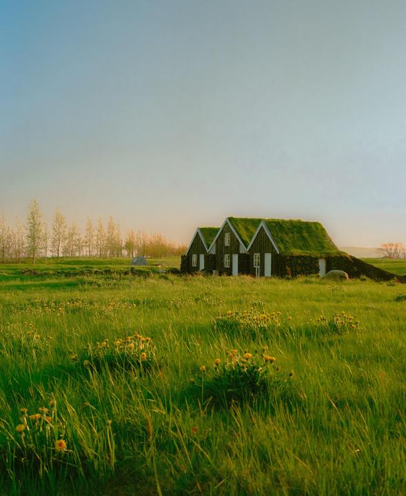 Iceland Countryside [Mamiya 7, 80mm f4, Portra 400]