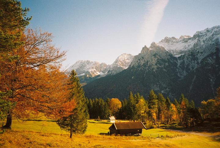 Fall colors in the alps [Ricoh R1, Kodak Gold]