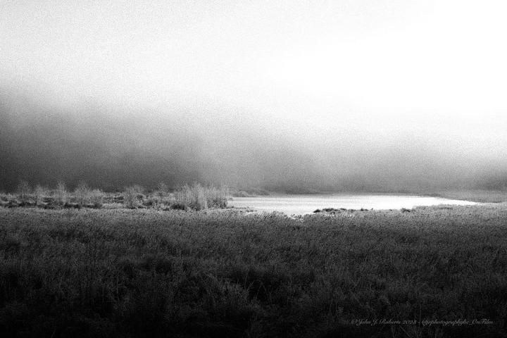 A body of water is surrounded by tall grass and trees under a hazy sky.