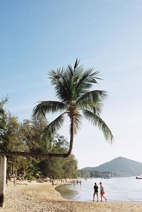 A palm tree with a bent trunk hangs over a sandy beach where people are walking along the water's edge.