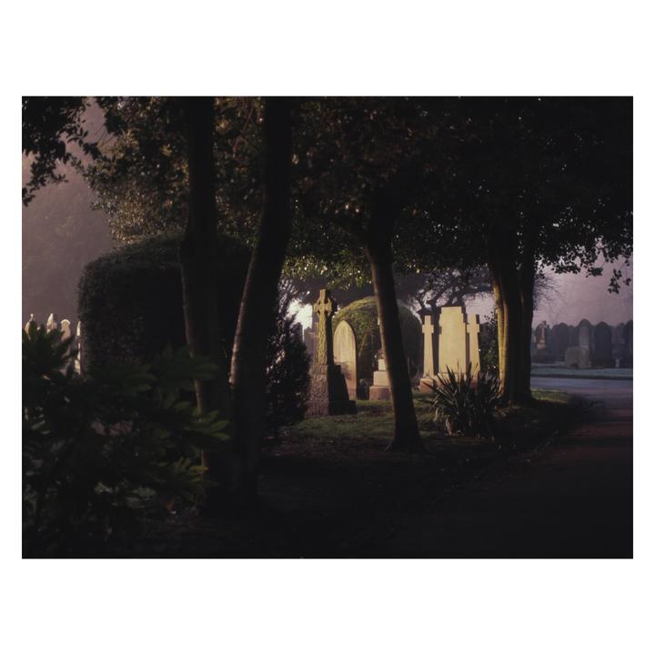 Foggy Morning // Bronica ETRSi+Zenzanon MC 75mm // Expired Provia 100f