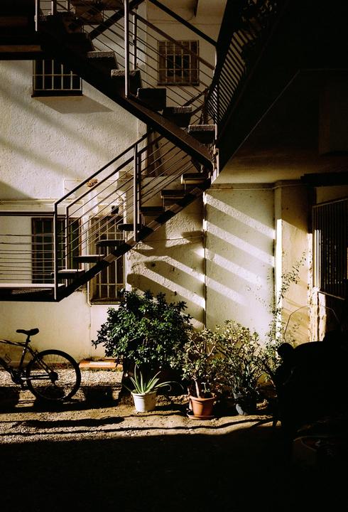 Taking advantage of some shadows in my neighbourhood shooting my first ever roll of film | Canon AE-1 - gold 200