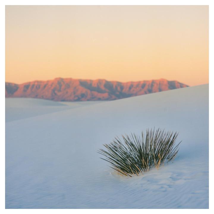 White Sands Sunrise | Bronica SQ-A | Ektar 100