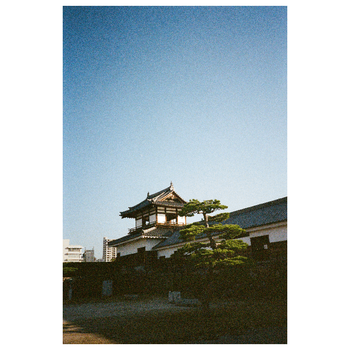 Favourites from Japan [Olympus XA2 | Porta 400]
