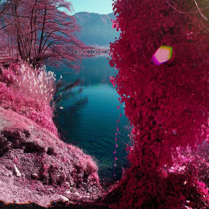 Infrared trichromes [Mamiya 6MF, 50mm f4 and 75mm f3.5, Rollei IR400]