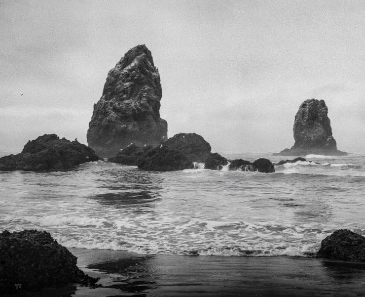 West Coast on 1970s Expired Kodak Verichrome [Mamiya 7, 80mm f/4]