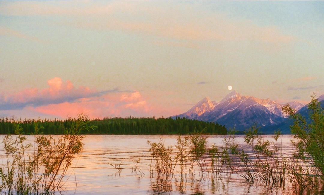 Made this composite by fusing together two of my shots from last summer. [Pentax KX | Portra 400 & 800], shot on pentax kx with kodak portra 400